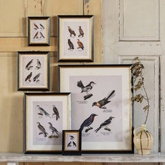 Andover Matted Frame w. Stand 4"x6".