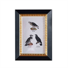 Andover Matted Frame w. Stand 4"x6".