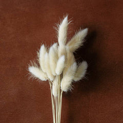 Mixed Dried Grasses and Florals Bleached, 12".