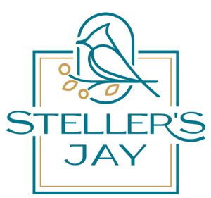 Steller's Jay