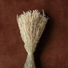 Mixed Dried Grasses and Florals Bleached, 12".