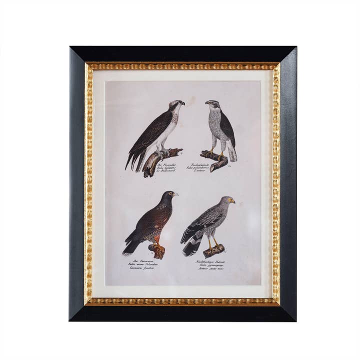 Andover Matted Frame w. Stand 4"x6".