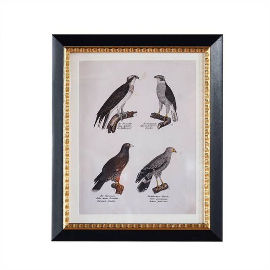 Andover Matted Frame w. Stand 4"x6".