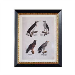 Andover Matted Frame w. Stand 4"x6".