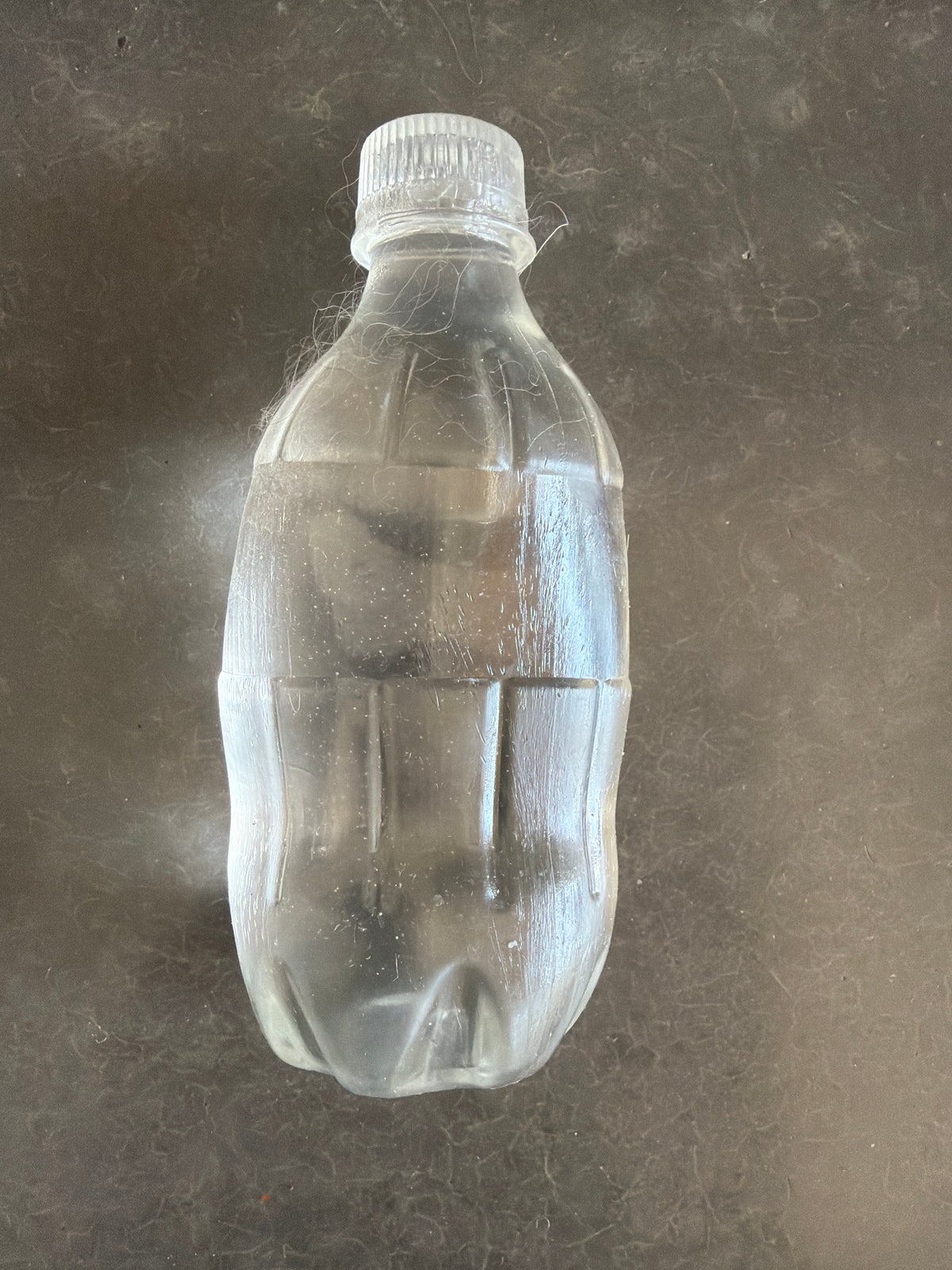 Water Bottle Clear Squishy