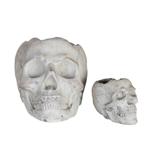 Concrete Momento Mori Skull.
