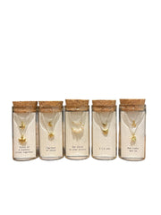 Message in a Bottle Necklace Set