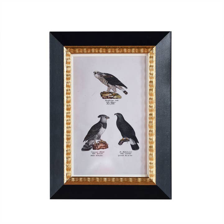 Andover Matted Frame w. Stand 4"x6".