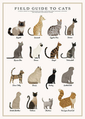 Cats Puzzle – 500 Pc Tube
