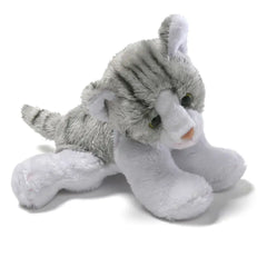 Grey Cat - Jean 5"