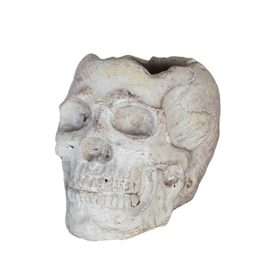 Concrete Momento Mori Skull.