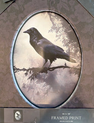 Black Crow Framed Art Ptint