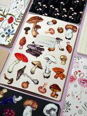 Mushroom notebook