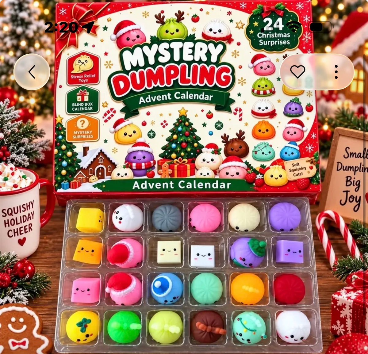 Mystery Dumpling Advent Calendar