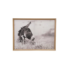Framed Donkey Wall Decor 24" x 18"