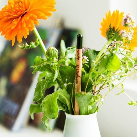 Plantable Seed Pencil - Forget Me Not: Eco Friendly