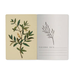 Notebook - Olive