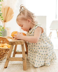 Harper Peter Pan Collar Floral Baby Flare Dress + Bloomer: Blue Floral/Natural / 3T