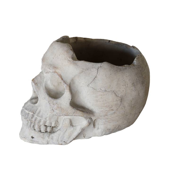 Concrete Momento Mori Skull.