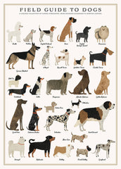 Dogs Puzzle – 500 Pc Tube