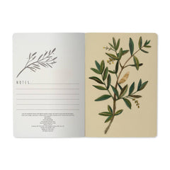 Notebook - Olive